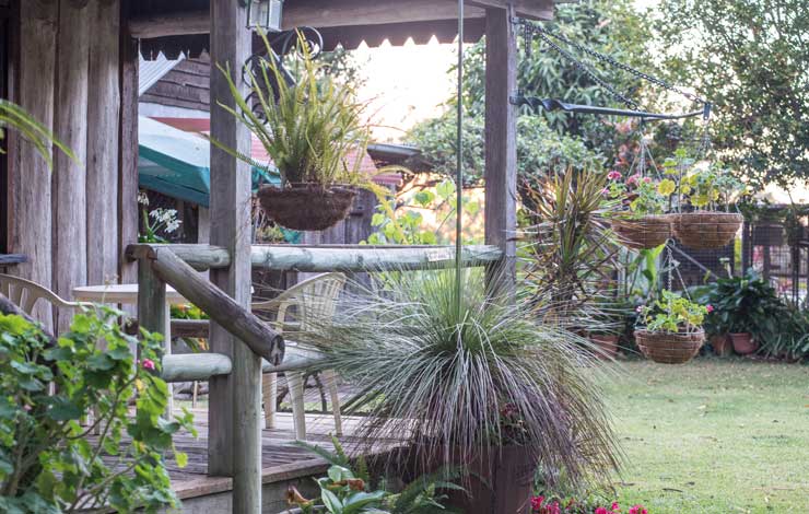 Bed and Breakfast Bundaberg Grounds