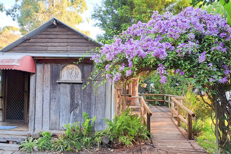 Bed and Breakfast Bundaberg Grounds