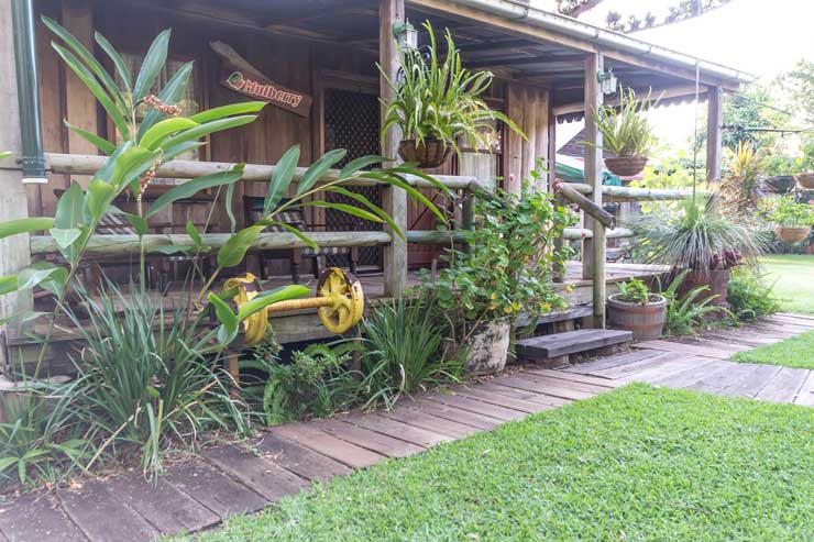 Bed and Breakfast Bundaberg Grounds