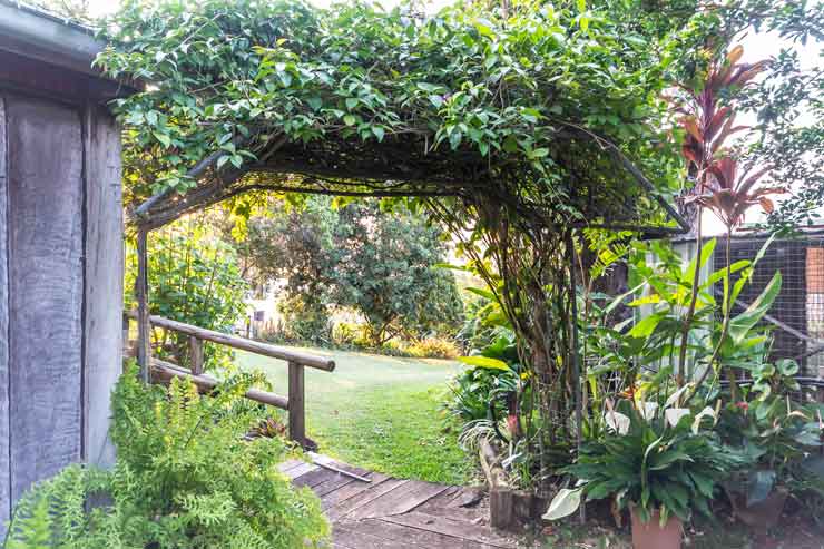 Bed and Breakfast Bundaberg Grounds